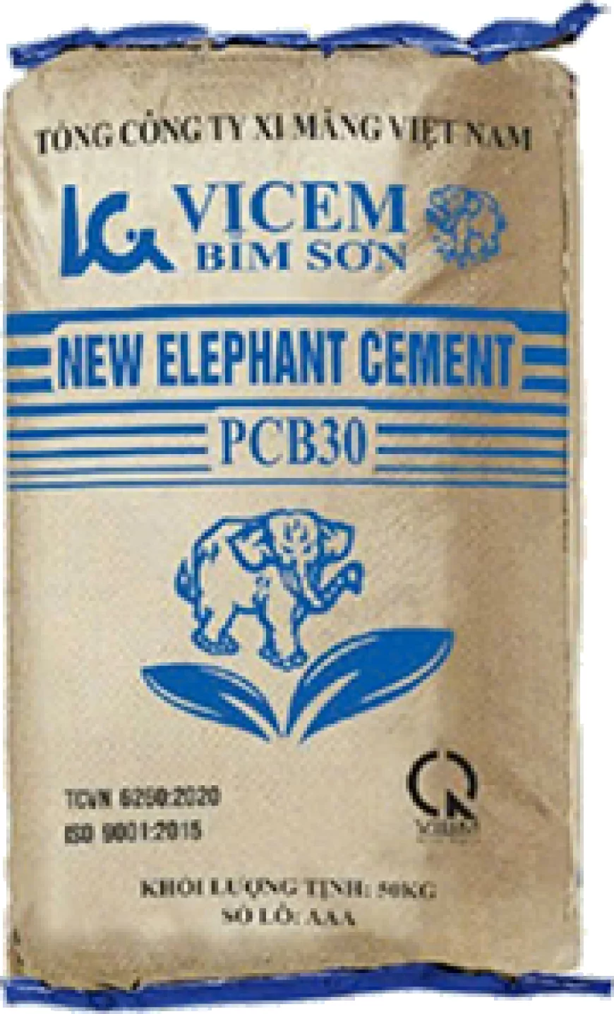 Công ty Cổ phần Xi măng VICEM Bỉm Sơn
