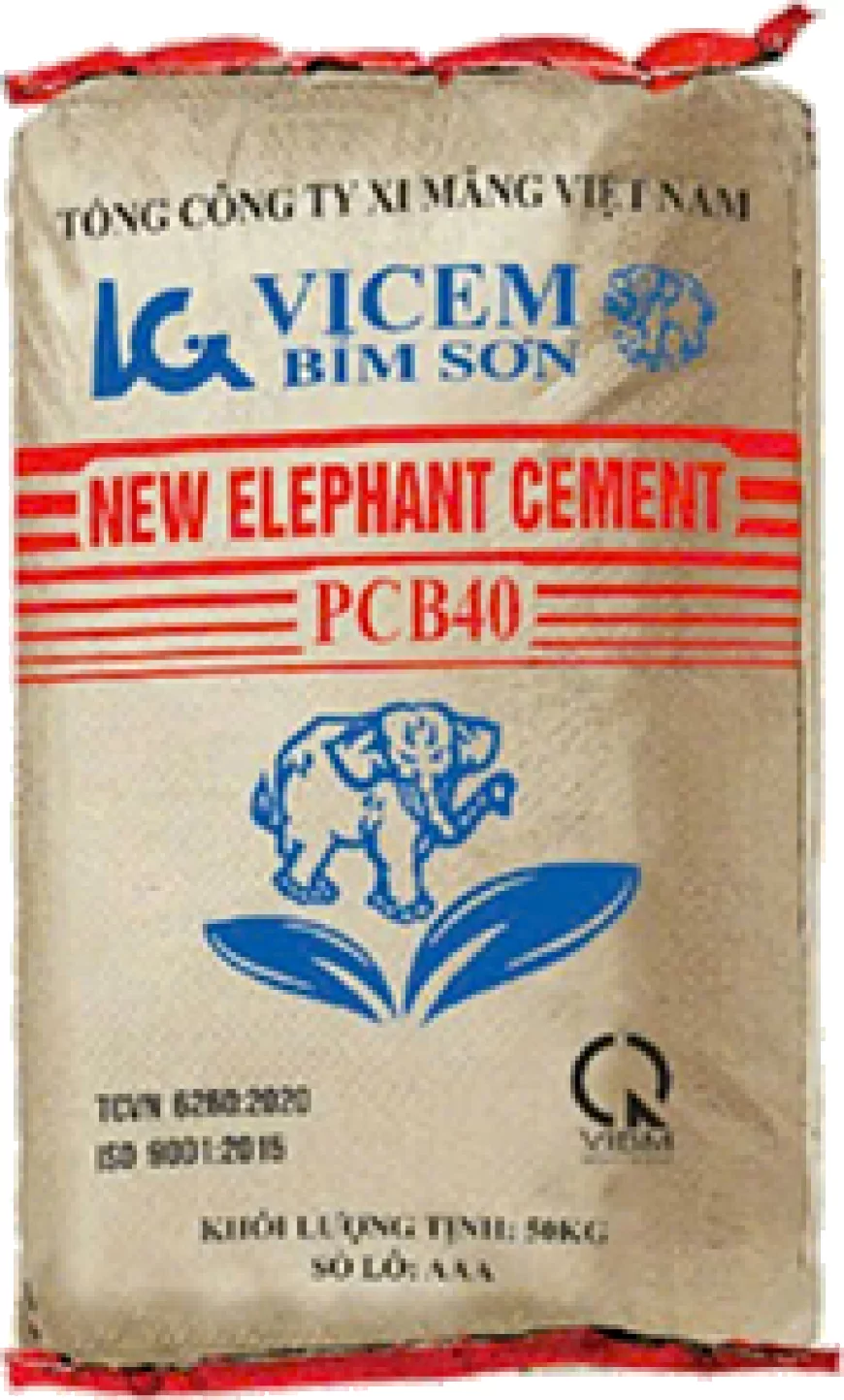 Công ty Cổ phần Xi măng VICEM Bỉm Sơn