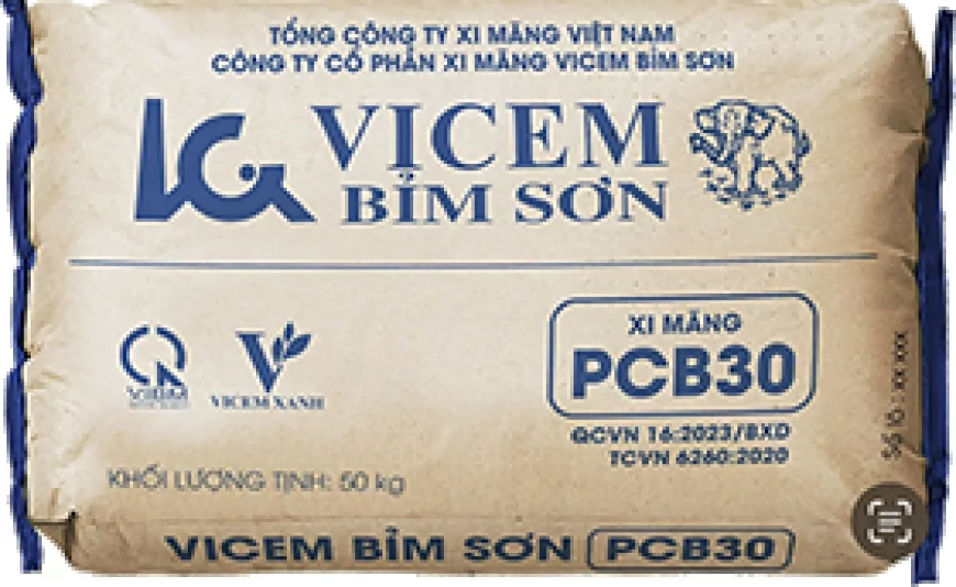 Công ty Cổ phần Xi măng VICEM Bỉm Sơn
